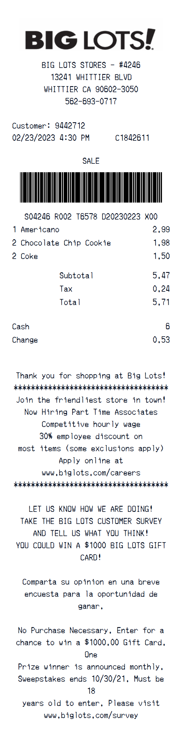 Big Lots receipt example