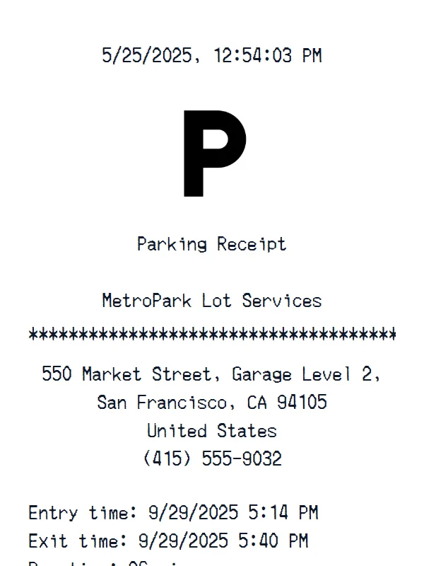Generic Parking Receipt receipt example
